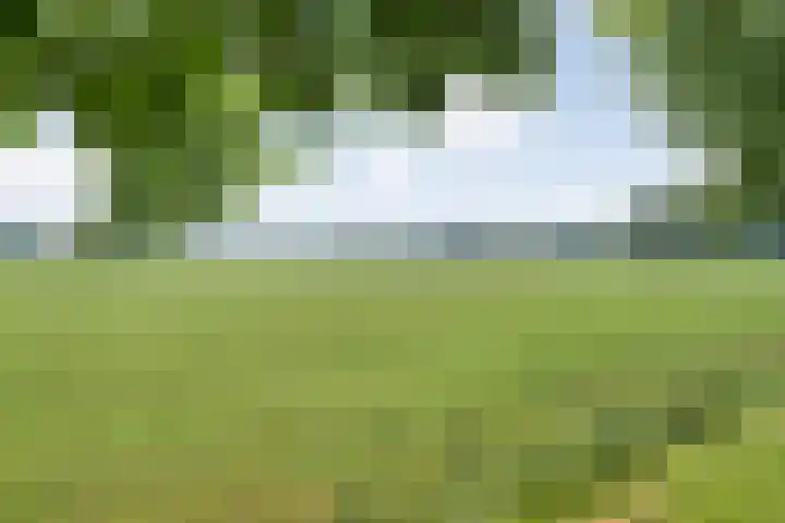Mulderij 13 Dedemsvaart thumbnail 77