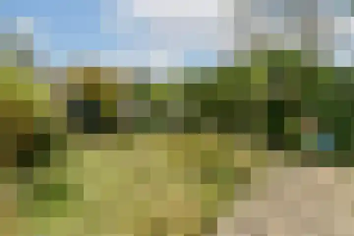 Mulderlaan 25 Voorschoten thumbnail 10