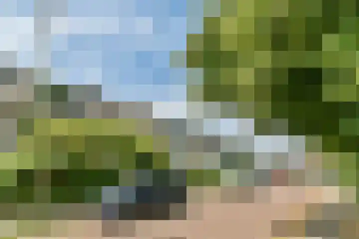 Mulderlaan 25 Voorschoten thumbnail 27