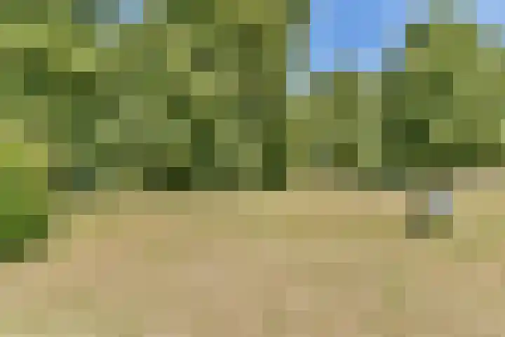 Mulderlaan 25 Voorschoten thumbnail 28