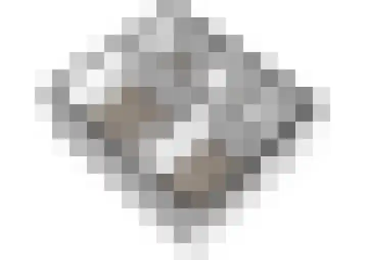 Mulderlaan 25 Voorschoten thumbnail 34