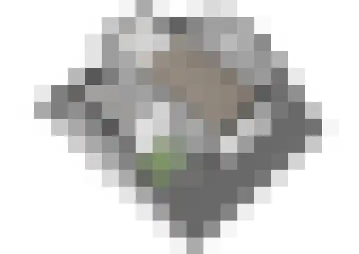 Mulderlaan 25 Voorschoten thumbnail 36