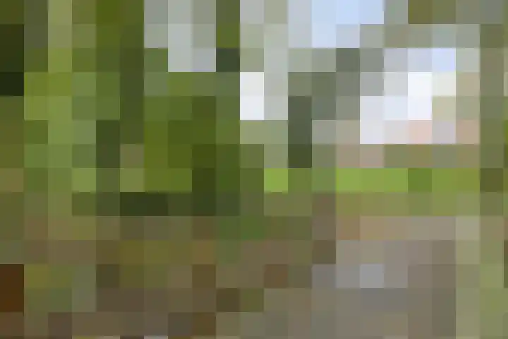 Muldermanshoek 4 Enschede thumbnail 30