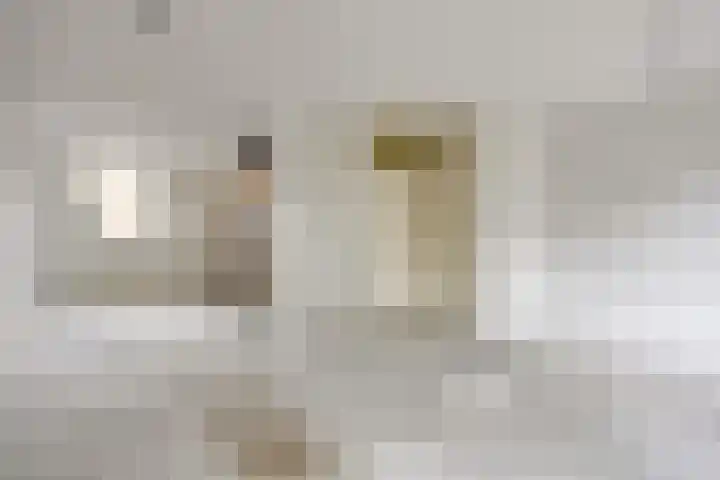 Muldermanshoek 4 Enschede thumbnail 7