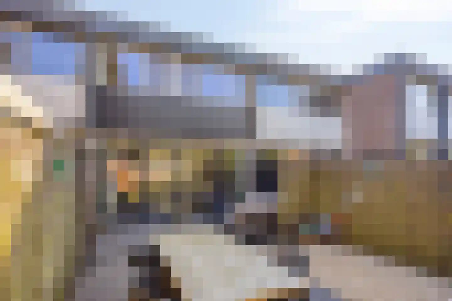 Muldersdreef 116 Apeldoorn thumbnail 12