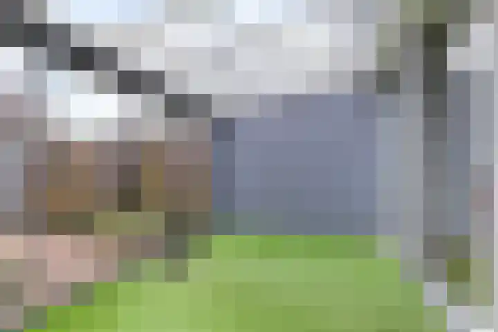 Muldersdreef 133 Apeldoorn thumbnail 19