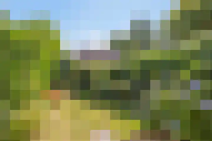 Muldersdreef 134 Apeldoorn thumbnail 20