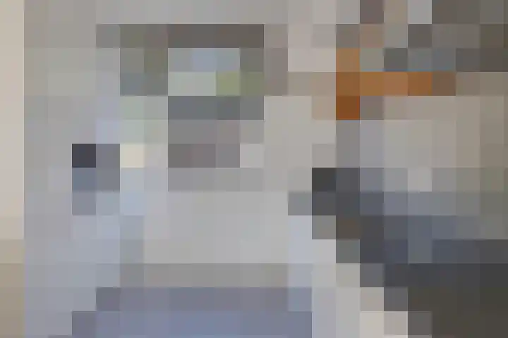 Muldersdreef 307 Apeldoorn thumbnail 13