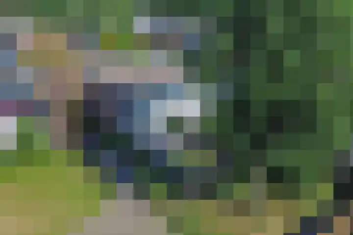 Muldersdreef 307 Apeldoorn thumbnail 4