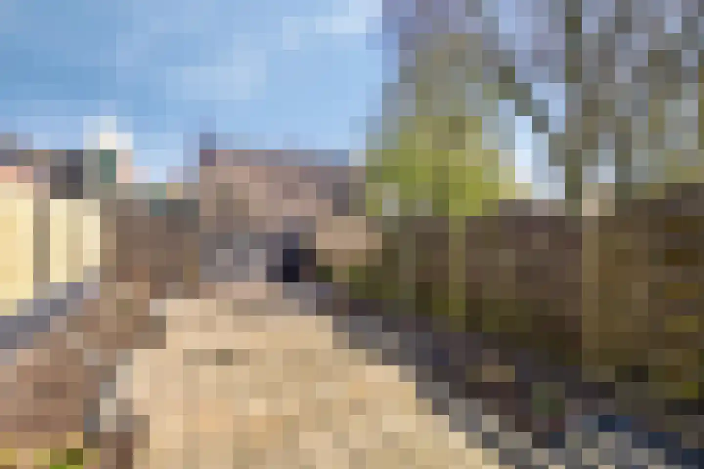Muldersdreef 325 Apeldoorn thumbnail 20