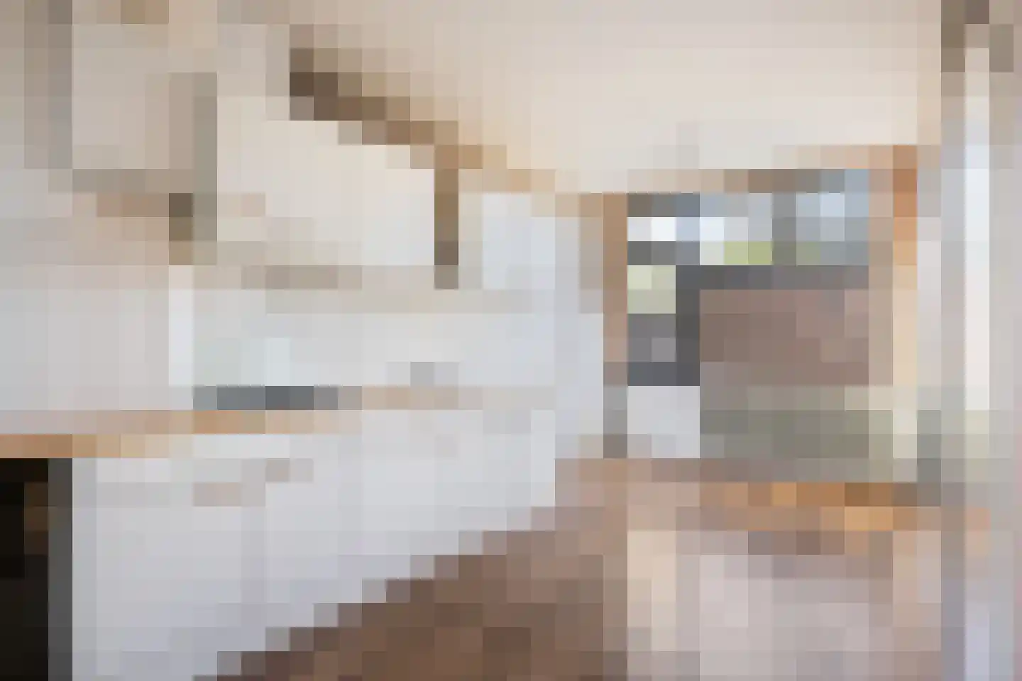 Muldersdreef 325 Apeldoorn thumbnail 6