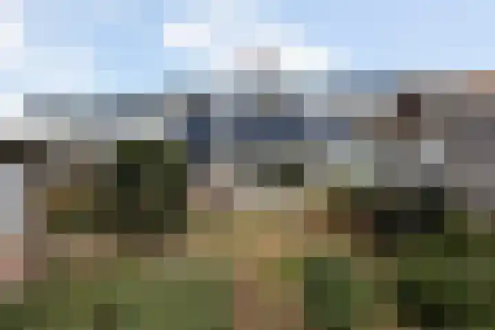 Muldersdreef 334 Apeldoorn thumbnail 17