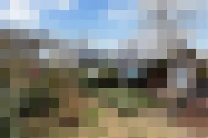Muldersdreef 334 Apeldoorn thumbnail 18