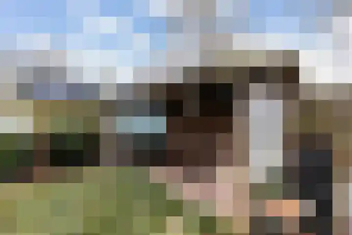 Muldersdreef 334 Apeldoorn thumbnail 19