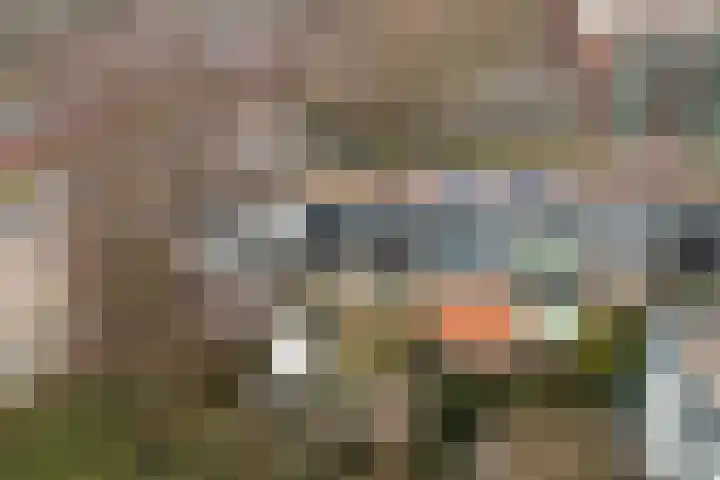 Muldersdreef 334 Apeldoorn thumbnail 35
