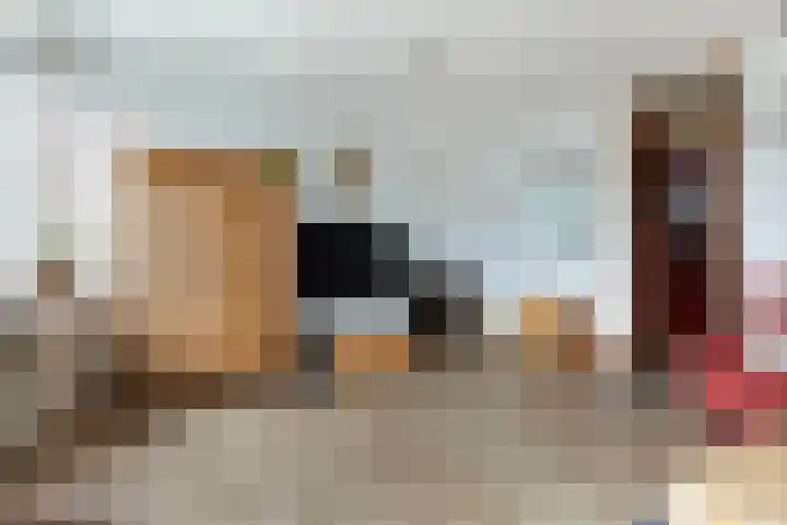 Muldersdreef 334 Apeldoorn thumbnail 8