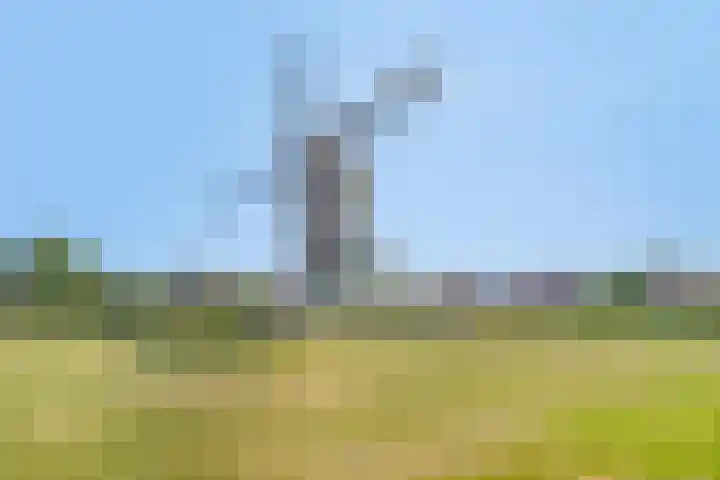 Mulderserf 2 Oploo thumbnail 45