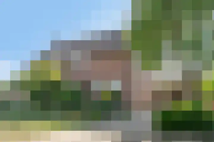 Mulderserf 2 Oploo thumbnail 5