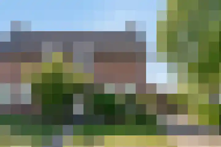 Mulderserf 2 Oploo thumbnail 7