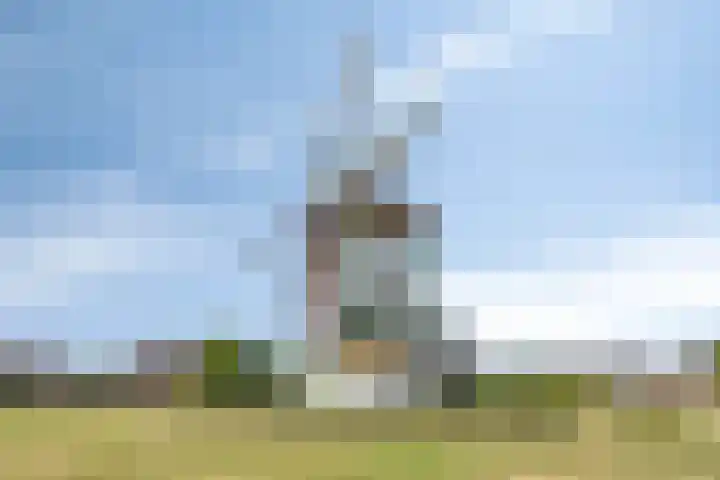 Mulderserf 4 Oploo thumbnail 41