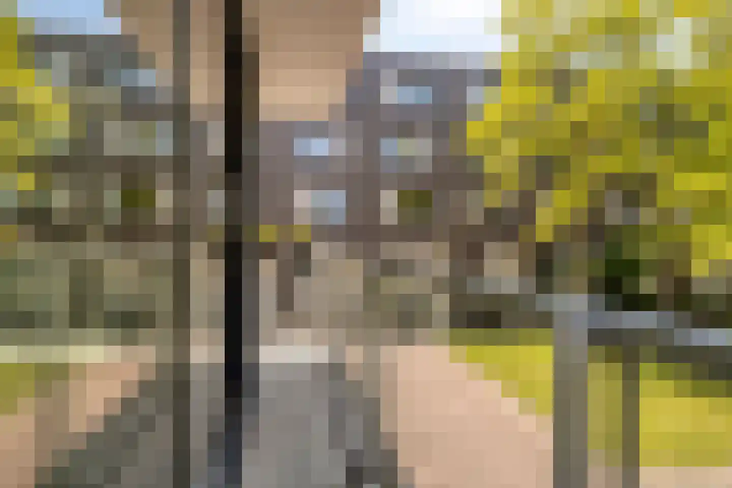 Muldersgaarde 6 Den Haag thumbnail 4