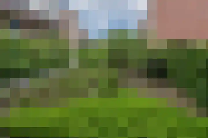 Muldershof 1 Groesbeek thumbnail 27