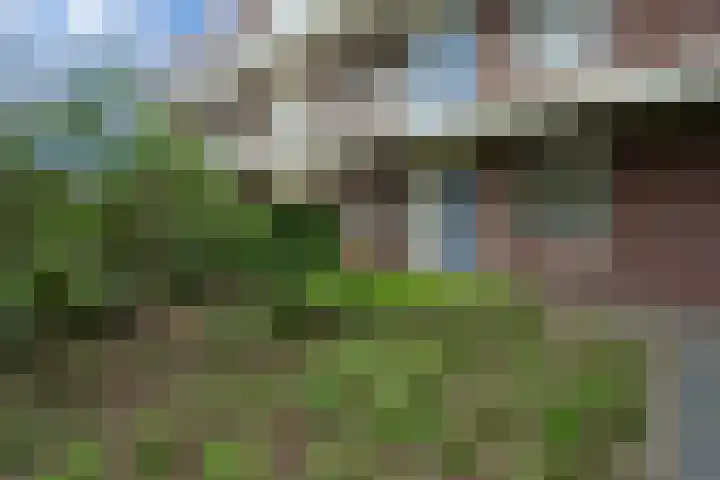Muldershof 1 Groesbeek thumbnail 4
