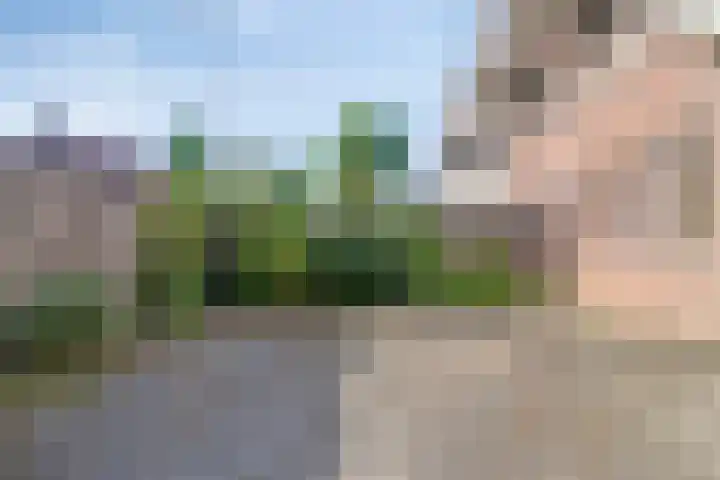 Muldershof 1 Horst thumbnail 18