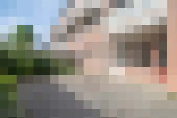 Muldershof 1 Horst thumbnail 20