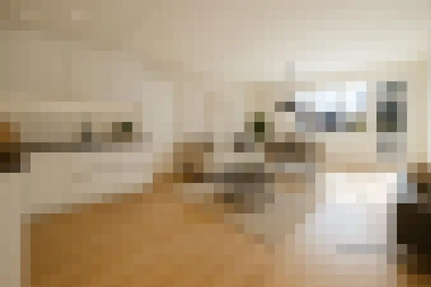 Muldershof 10 Horst thumbnail 8