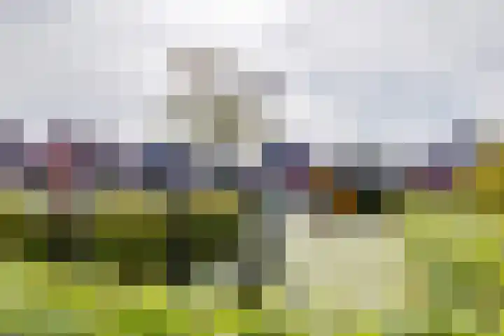 Muldershof 11 Harreveld thumbnail 46