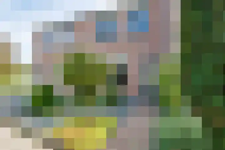Muldershof 11 Harreveld thumbnail 5