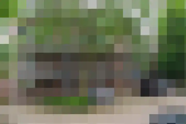 Muldershof 12 Horst thumbnail 22