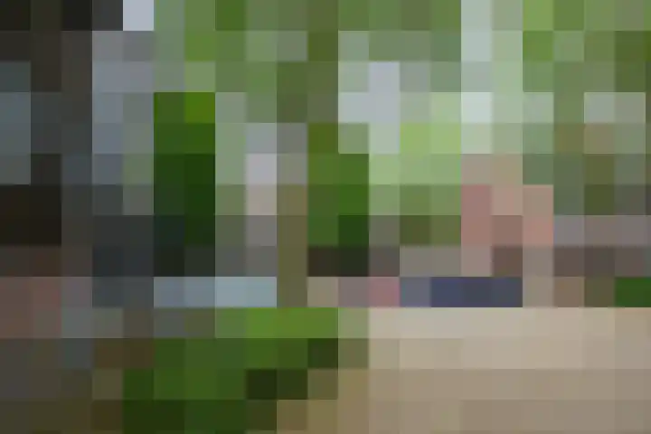 Muldershof 12 Horst thumbnail 24