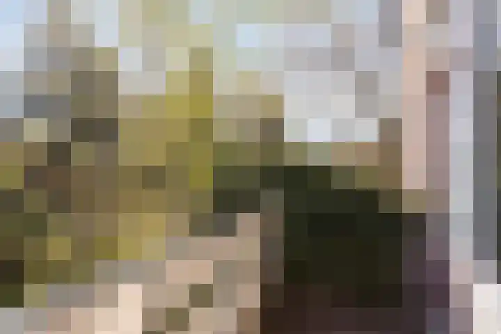 Muldershof 12 Horst thumbnail 8