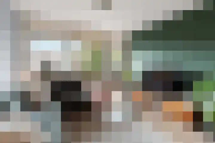 Muldershof 12 Zevenaar thumbnail 11