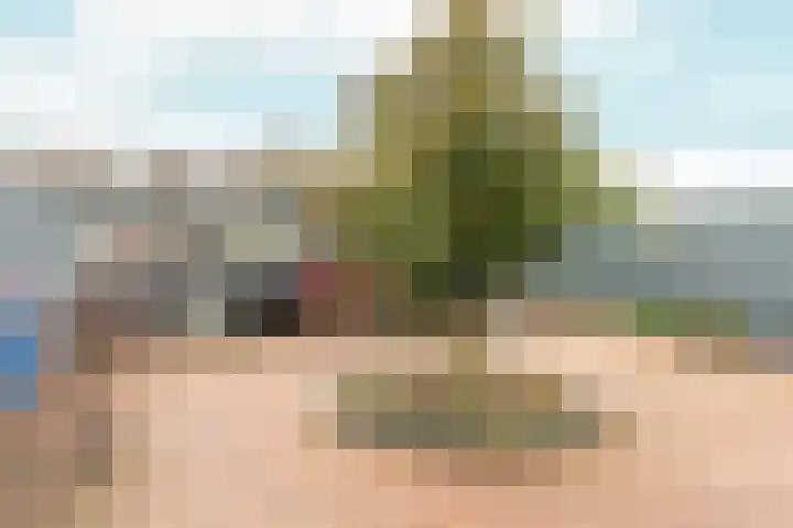 Muldershof 12 Zevenaar thumbnail 28