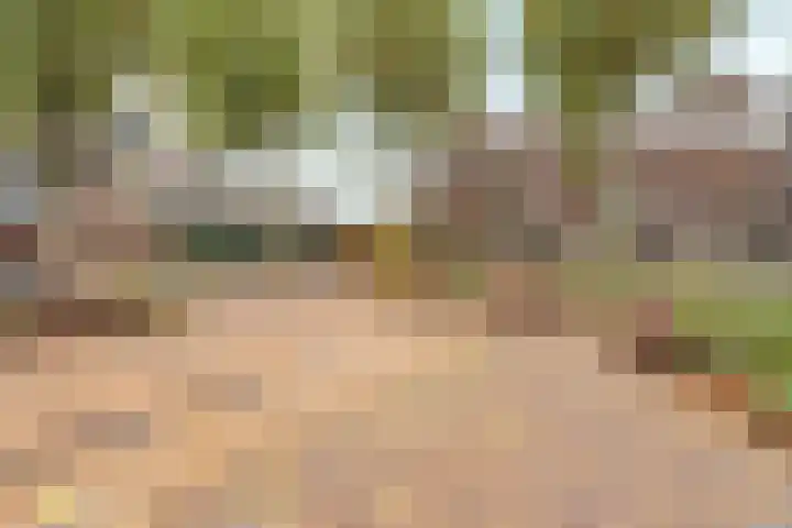 Muldershof 12 Zevenaar thumbnail 33