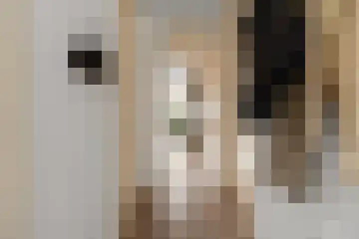Muldershof 12 Zevenaar thumbnail 7