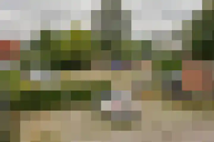 Muldershof 17 Groesbeek thumbnail 30