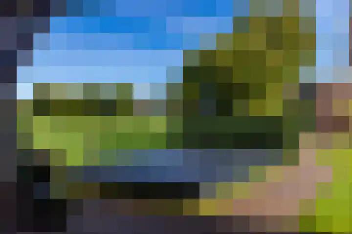 Muldershof 40 Harreveld thumbnail 23
