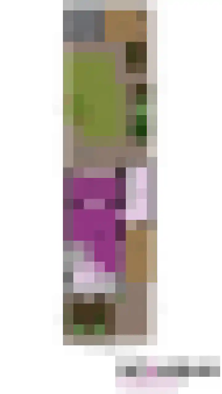 Muldershof 40 Harreveld thumbnail 31