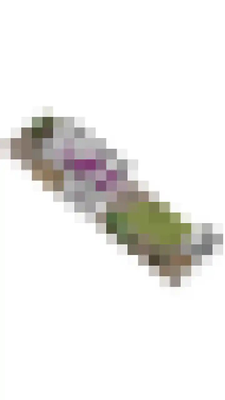 Muldershof 40 Harreveld thumbnail 36