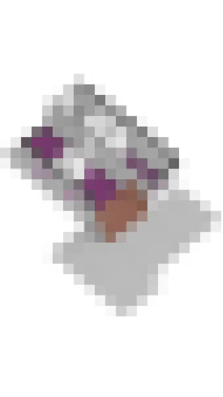 Muldershof 40 Harreveld thumbnail 38