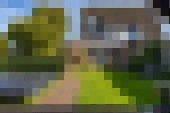 Muldershof 40 Harreveld thumbnail 6