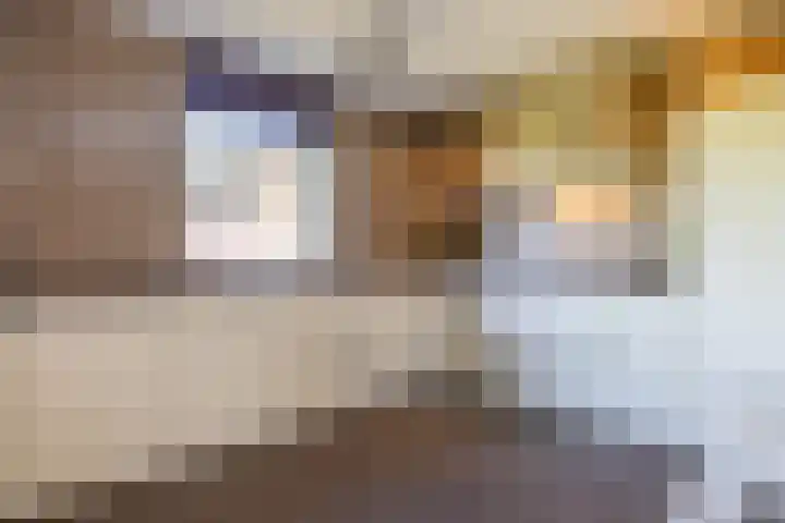 Muldershof 40 Harreveld thumbnail 8