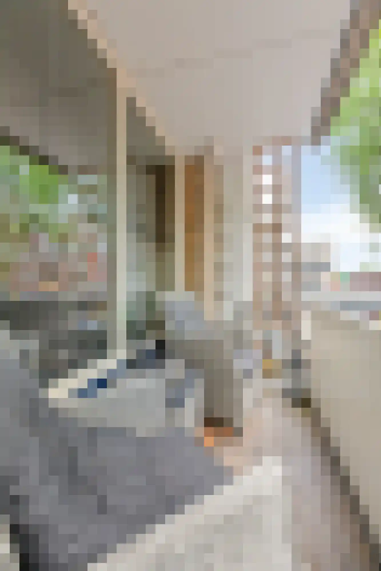 Muldershof 51 Zevenaar thumbnail 23