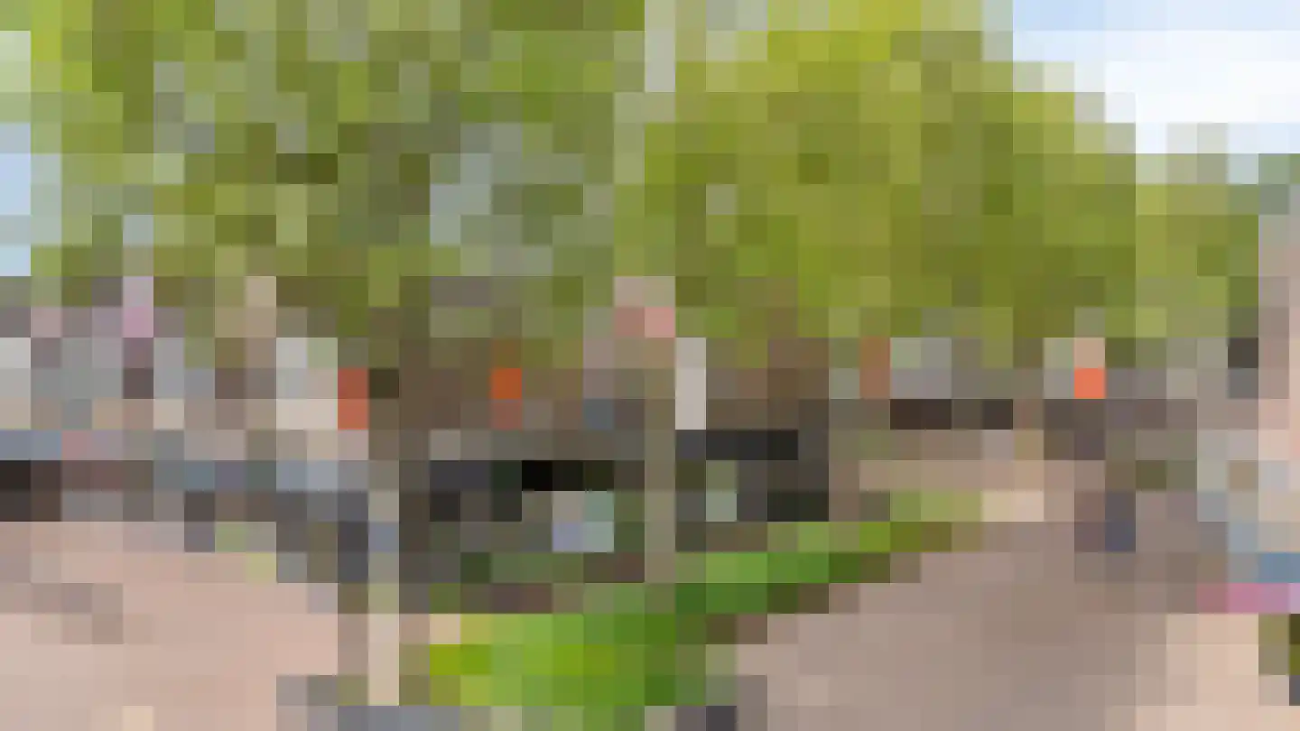 Muldershof 51 Zevenaar thumbnail 39