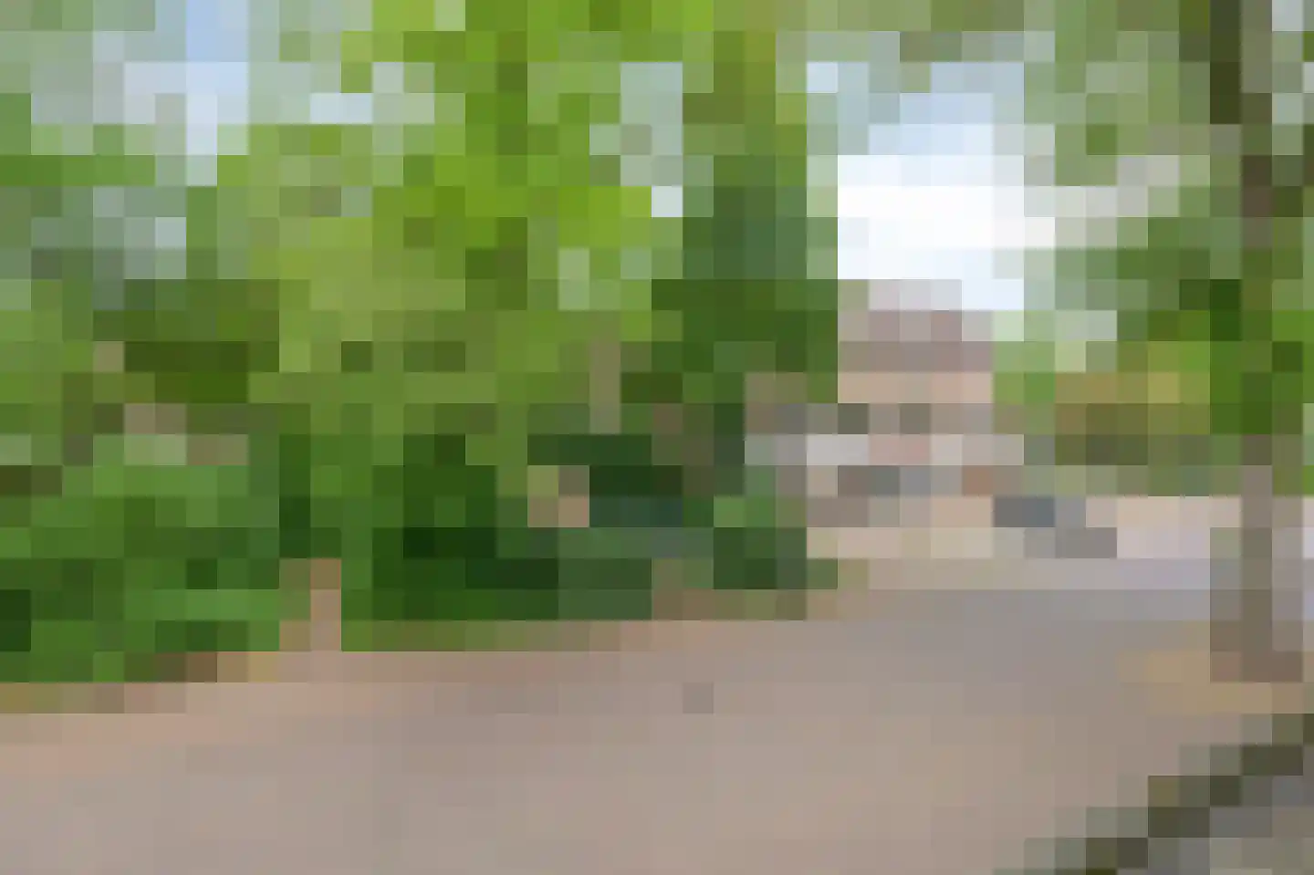 Muldershof 51 Zevenaar thumbnail 40