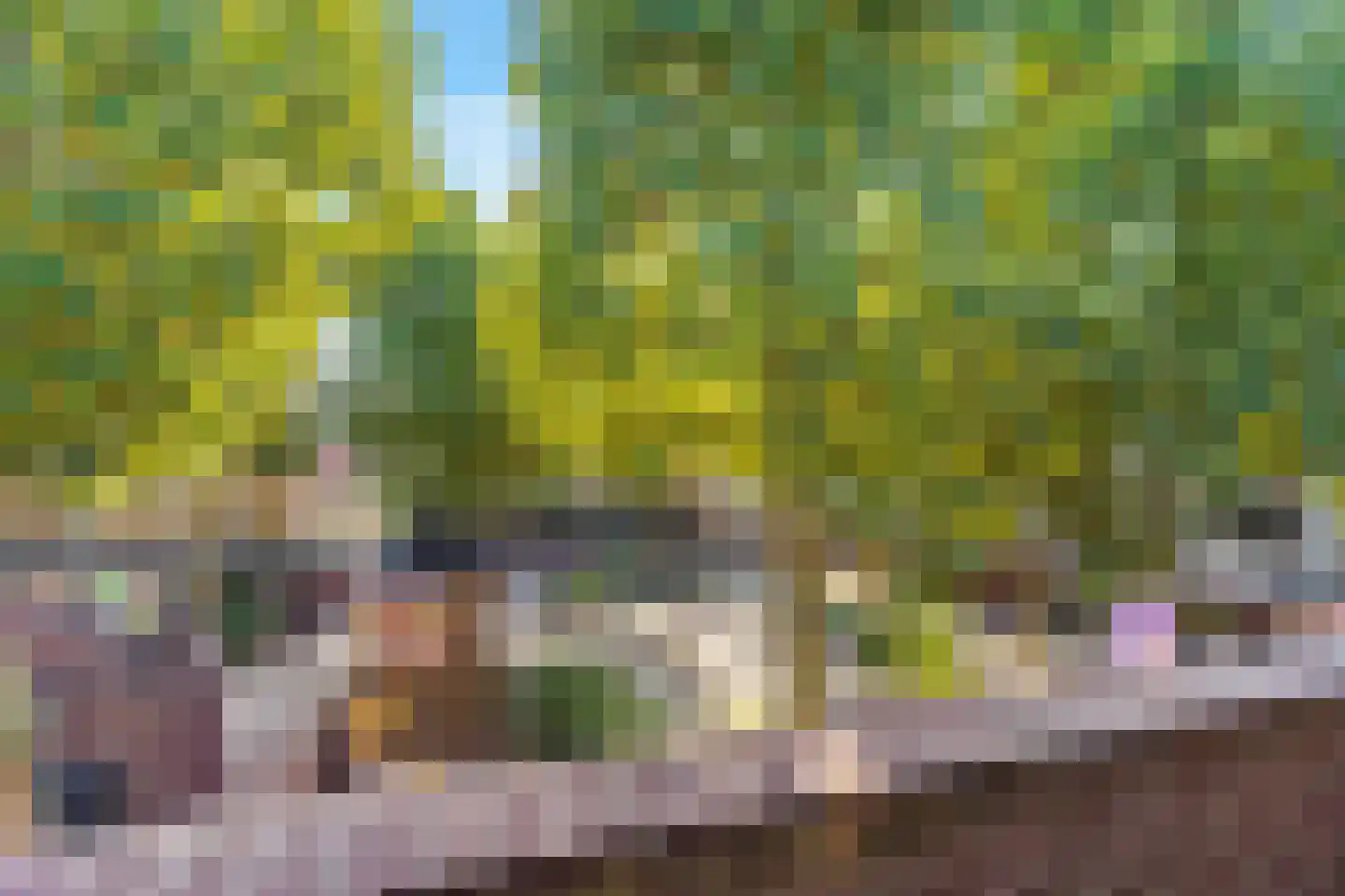 Muldershof 77 Zevenaar thumbnail 28